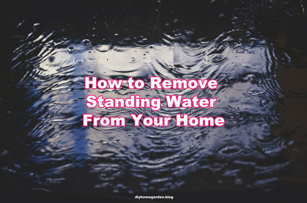 How to Remove Standing Water from Your Home diyhomegarden.blog