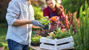 planting flowers