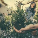 gardening for mental health