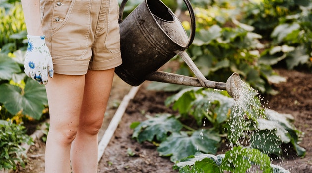 3 Great Ways To Revitalize Your Garden This Springtime
