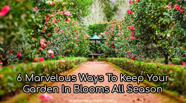 6 Marvelous Ways To Keep Your Garden In Blooms All Season