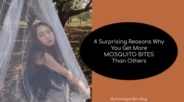 4 Surprising Reasons Why You Get More Mosquito Bites Than Others