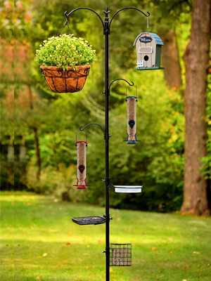 song bird feeding station