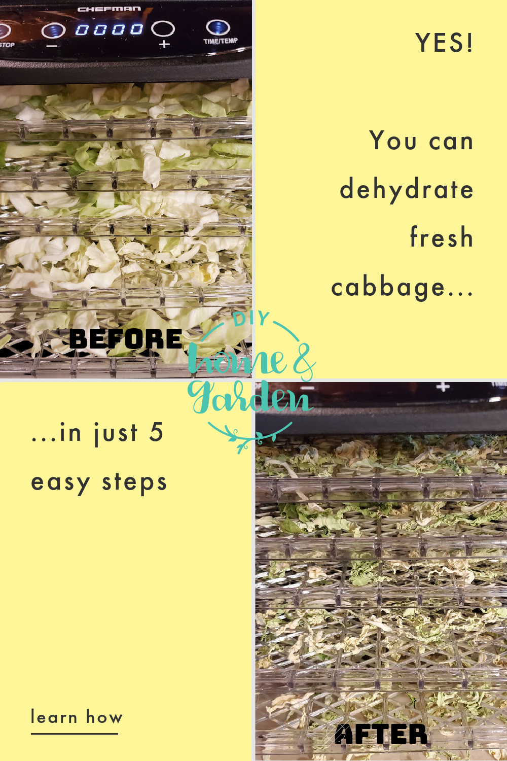 dehydrate cabbage pin