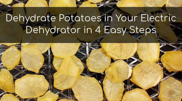Dehydrate Potatoes in Your Electric Dehydrator in 4 Easy Steps