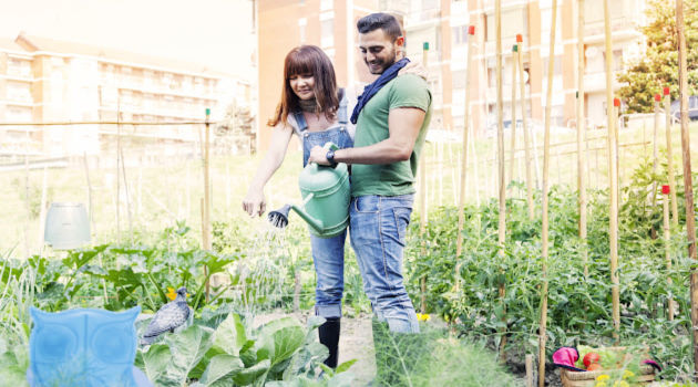Ask These 4 Questions Before You Start an Urban Garden