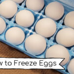 freeze eggs
