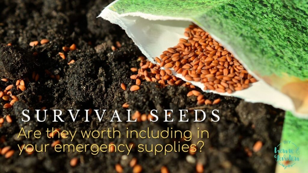 Survival Seeds: Are They Worth Including in Your Emergency Supplies?