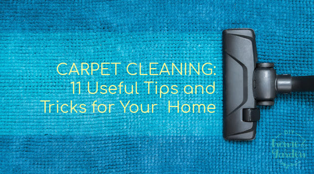 Carpet Cleaning: 11 Useful Tips and Tricks for Your Home