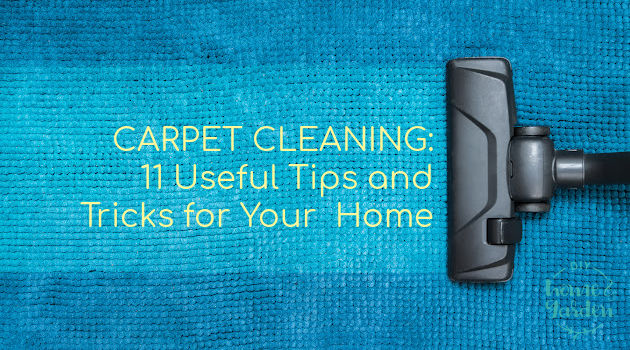 carpet cleaning