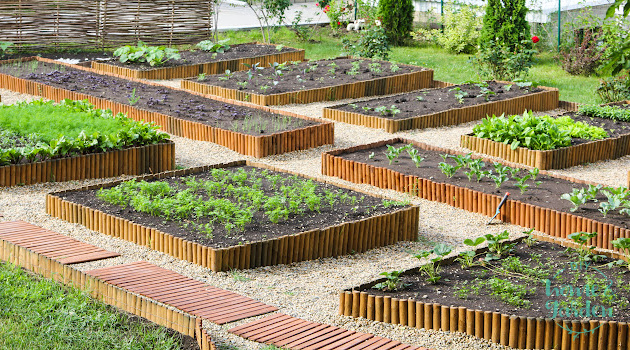 community garden