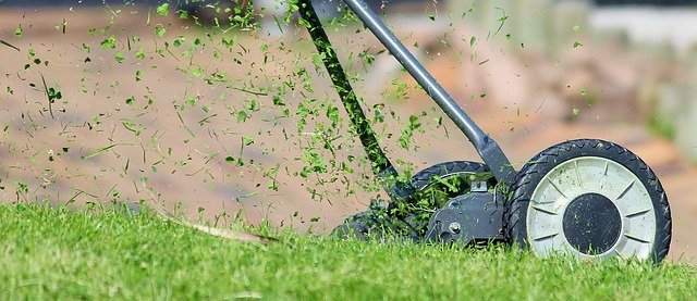 Grass Clippings for Mulch: 9 Pros and 7 Cons