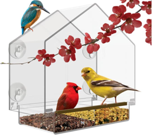 wild bird care feeder