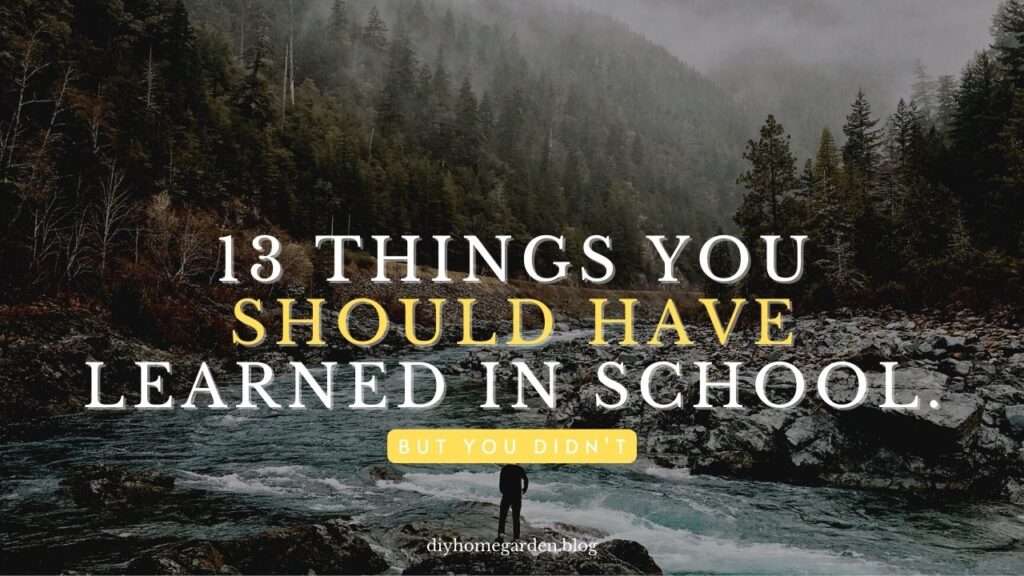 13 Survival Skills You Should Have Learned in School (But You Didn’t)