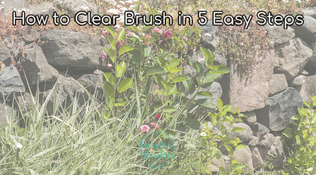 How to Clear Brush in 5 Easy Steps (No Chemical Sprays)