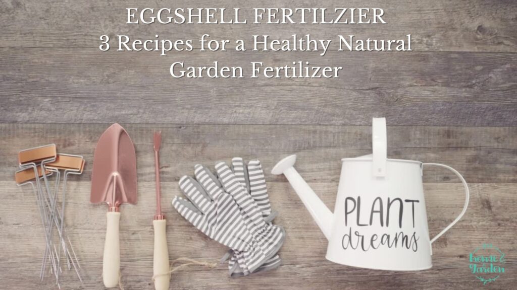 eggshell fertilizer