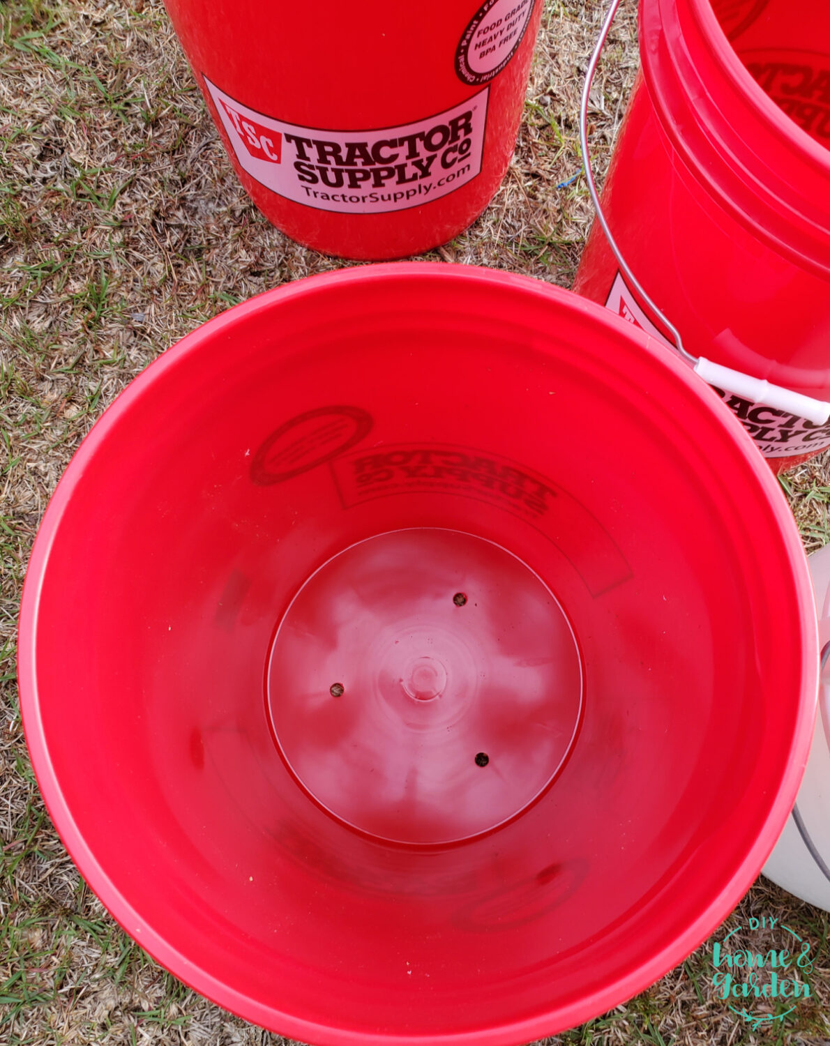 bucket garden