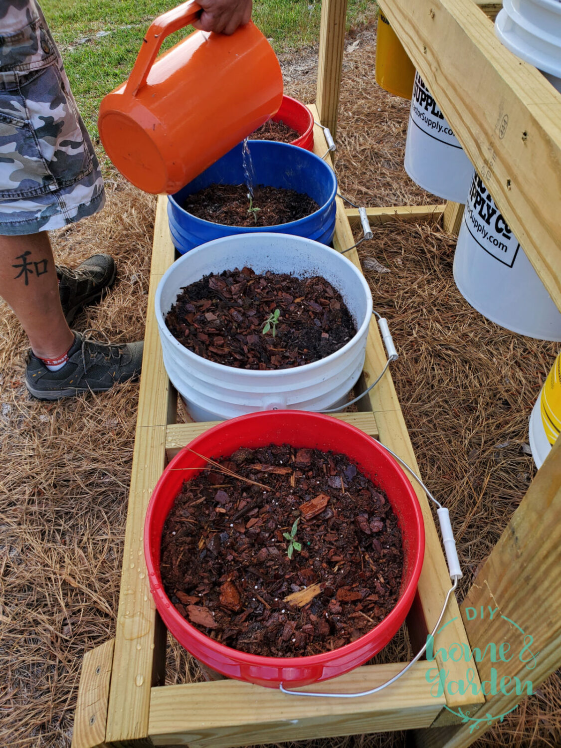 bucket garden