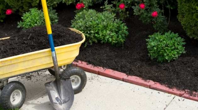 How to Choose the Right Mulch for a Trees and Gardens