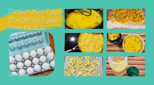 Dehydrated Eggs (Powdered Eggs) in 6 Easy Steps