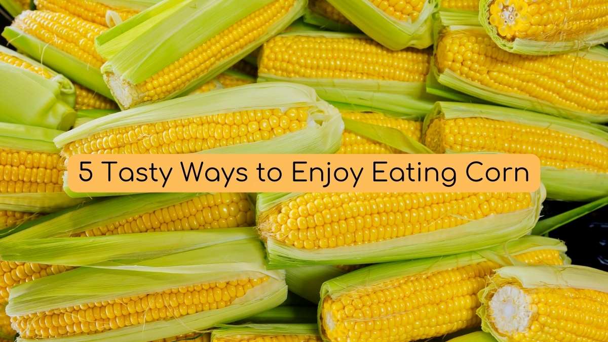5 Tasty Ways to Enjoy Eating Corn