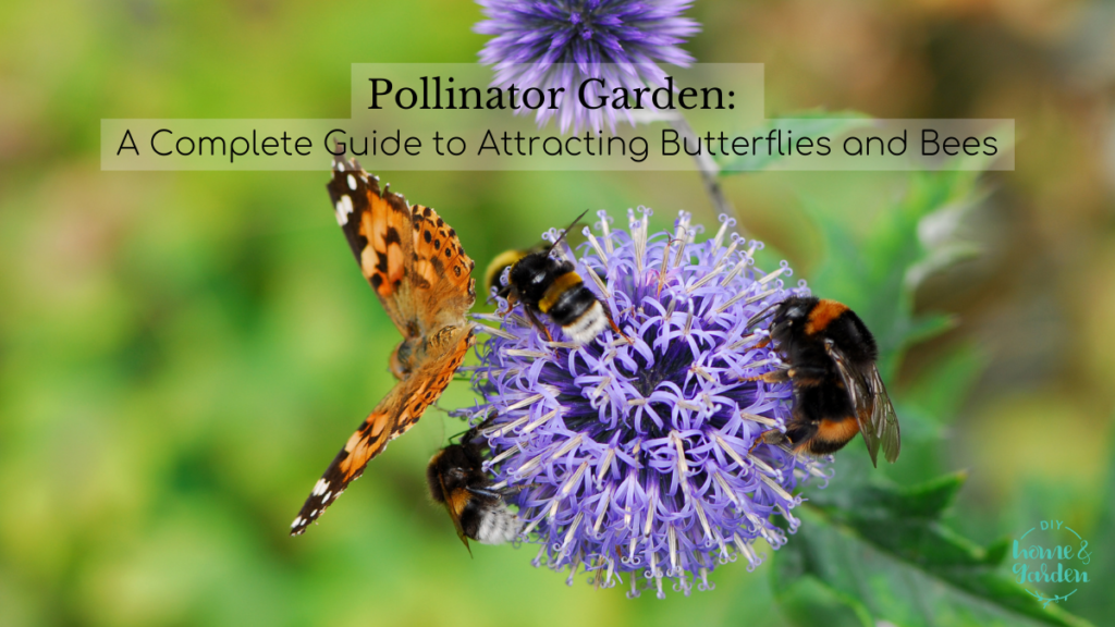 Pollinator Garden: A Complete Guide to Attracting Butterflies and Bees