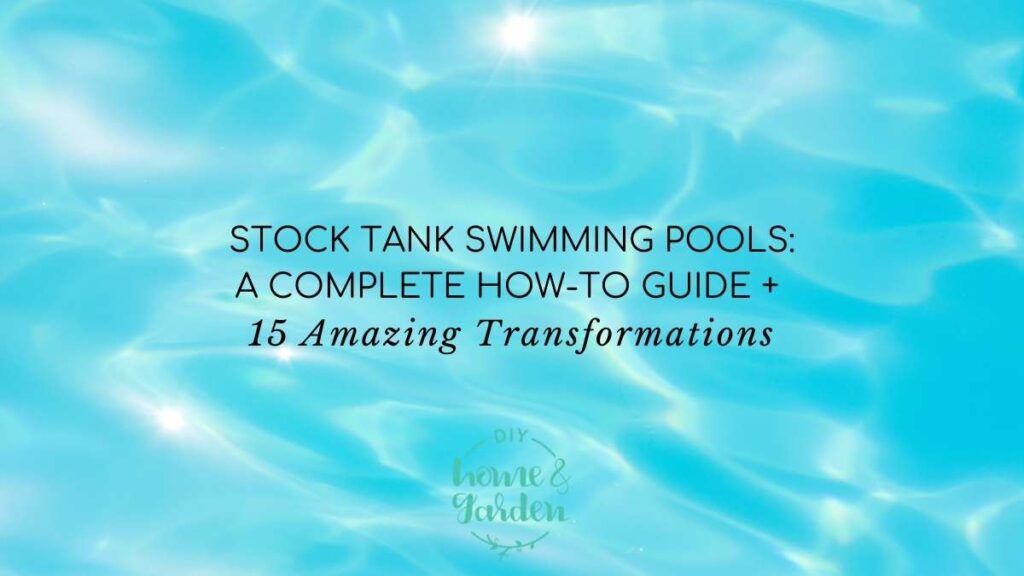 stock tank swimming pool