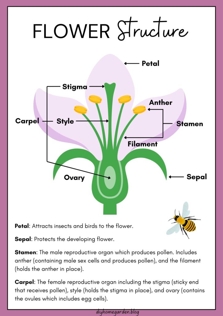 pollinator garden