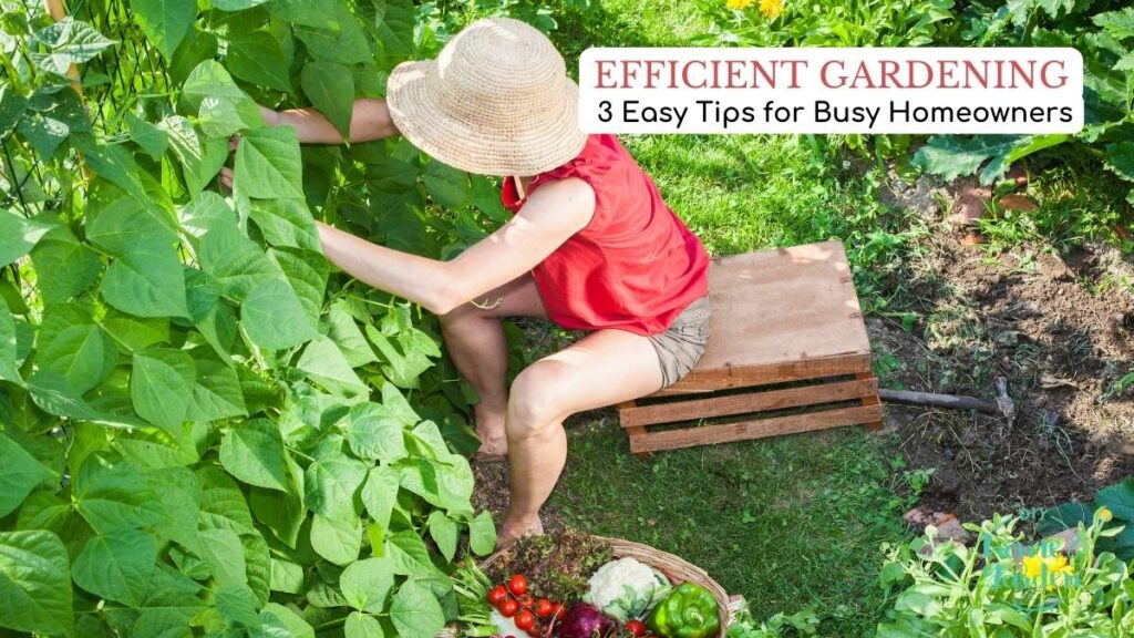 Efficient Gardening: 3 Easy Tips for Busy Homeowners
