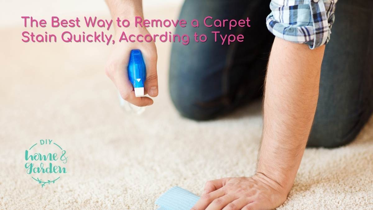 The Best Way to Remove a Carpet Stain Quickly, According to Type