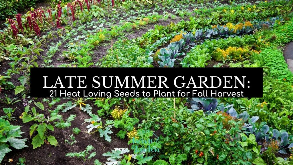 Late Summer Garden: 21 Heat Loving Seeds to Plant for Fall Harvest