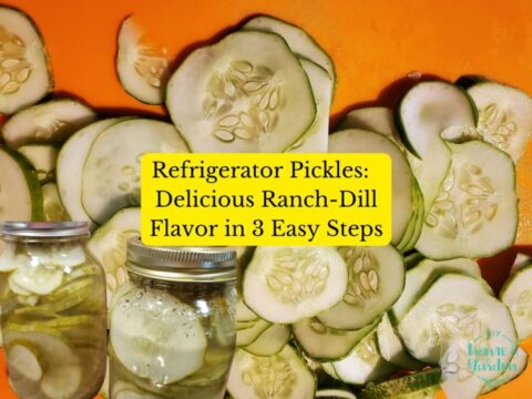 refrigerator pickles cover