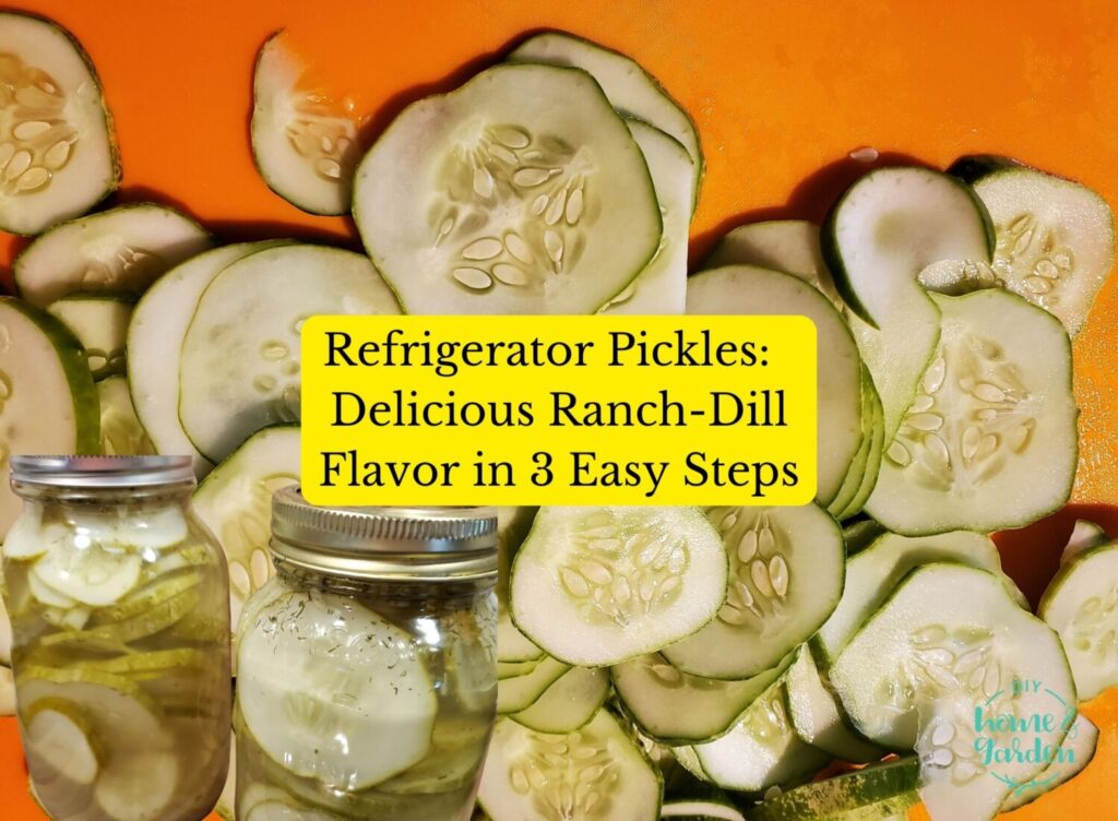 Refrigerator Pickles: Delicious Ranch Dill Pickles in 3 Easy Steps