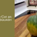 acorn squash