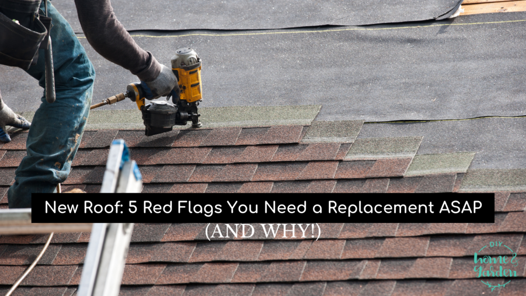 New Roof: 5 Red Flags You Need a Replacement ASAP (and Why)