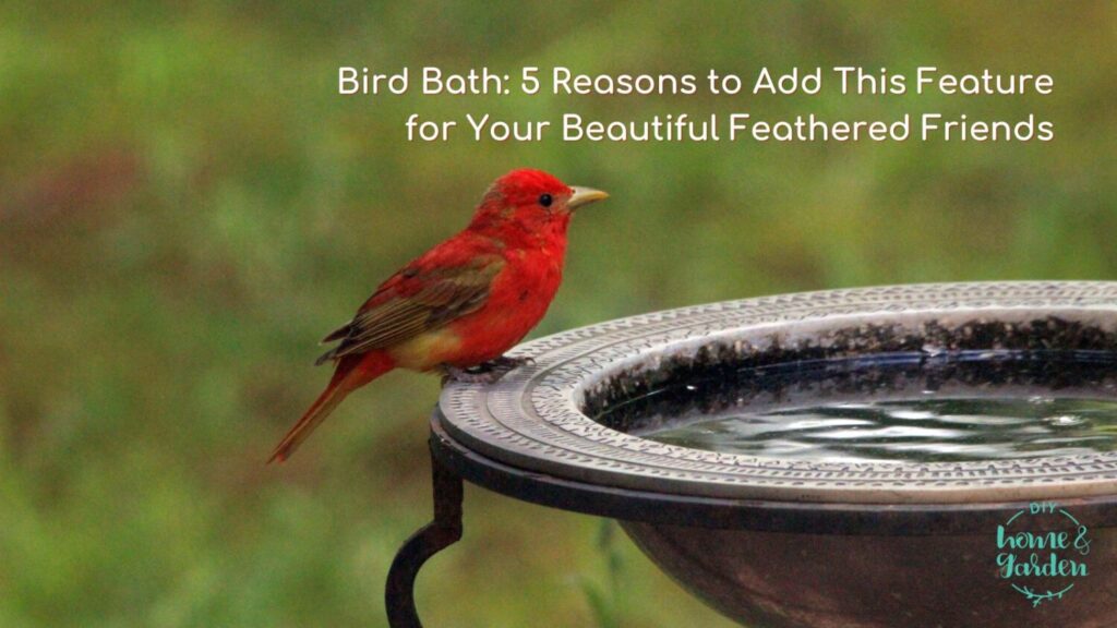 Bird Bath: 5 Reasons to Add This Feature for Your Beautiful Feathered Friends