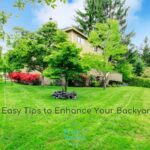 enhance your backyard