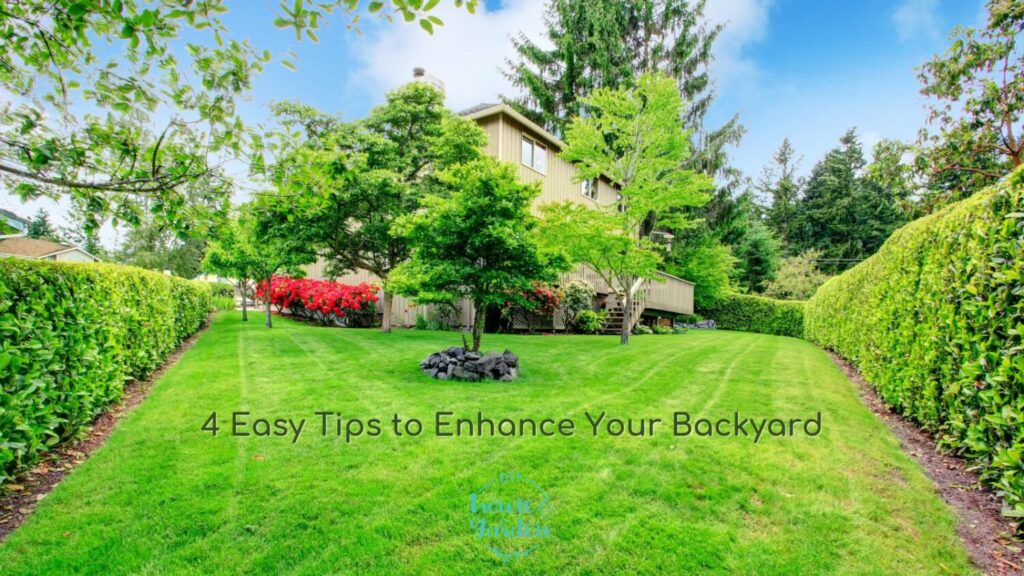 4 Easy Tips to Enhance Your Backyard