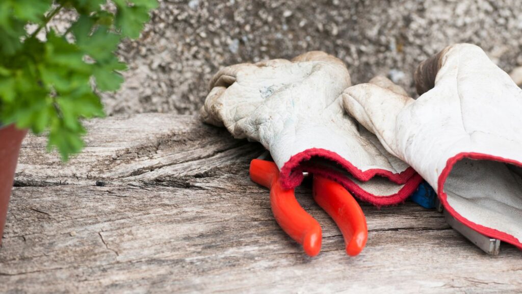 gardening gloves