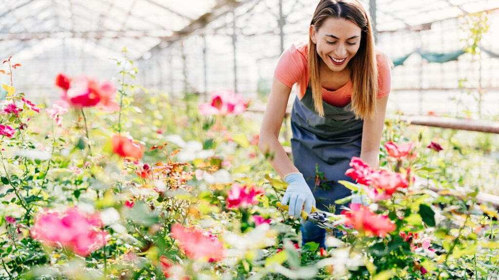 gardening gloves prune roses