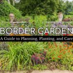 border garden