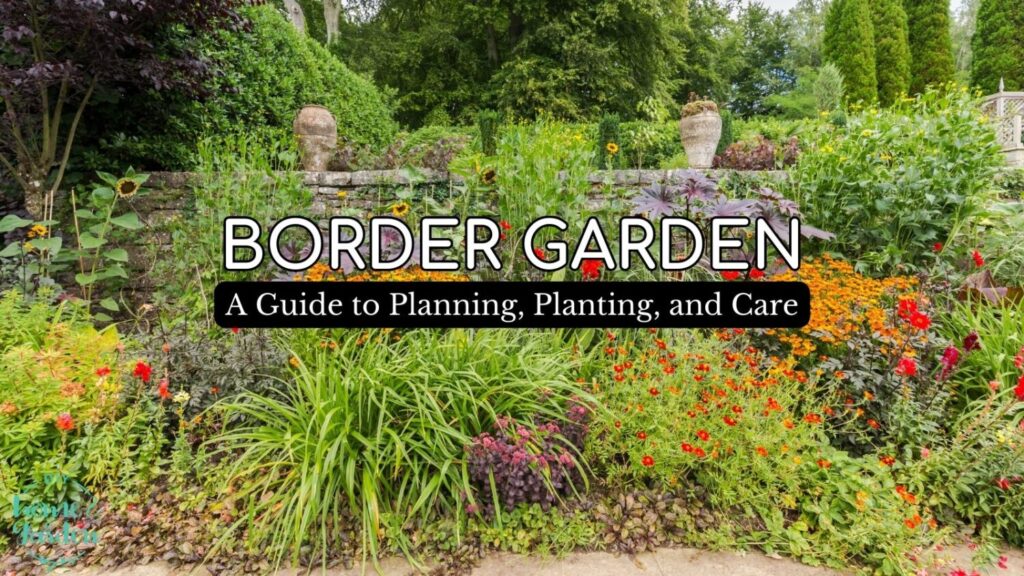 Border Garden: A Guide to Planning, Planting, and Care