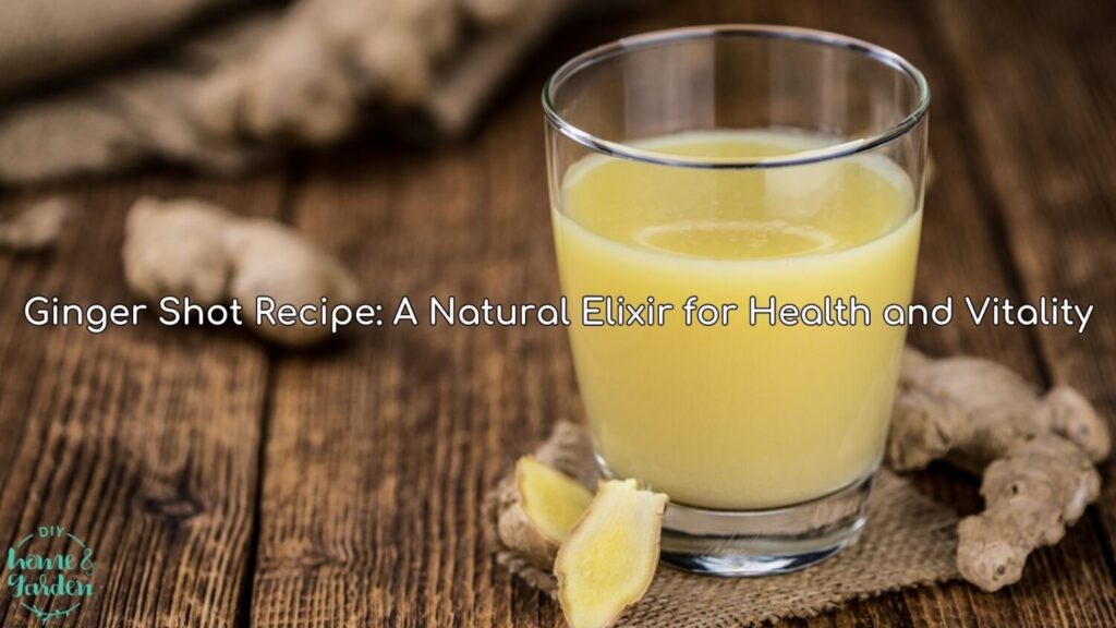 Ginger Shot Recipe: A Natural Elixir for Health and Vitality