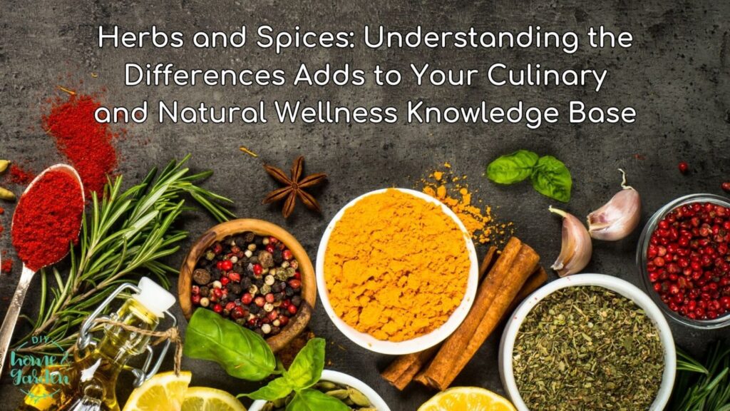 Herbs and Spices: Understanding the Differences Adds to Your Culinary and Natural Wellness Knowledge Base