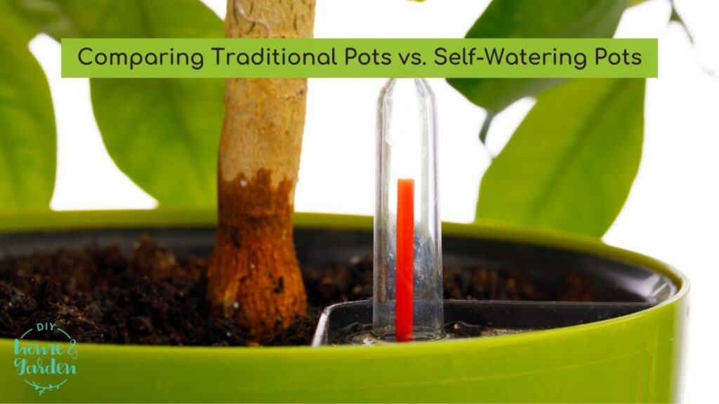 Comparing Traditional Pots vs. Self-Watering Pots: A Beginner’s Guide