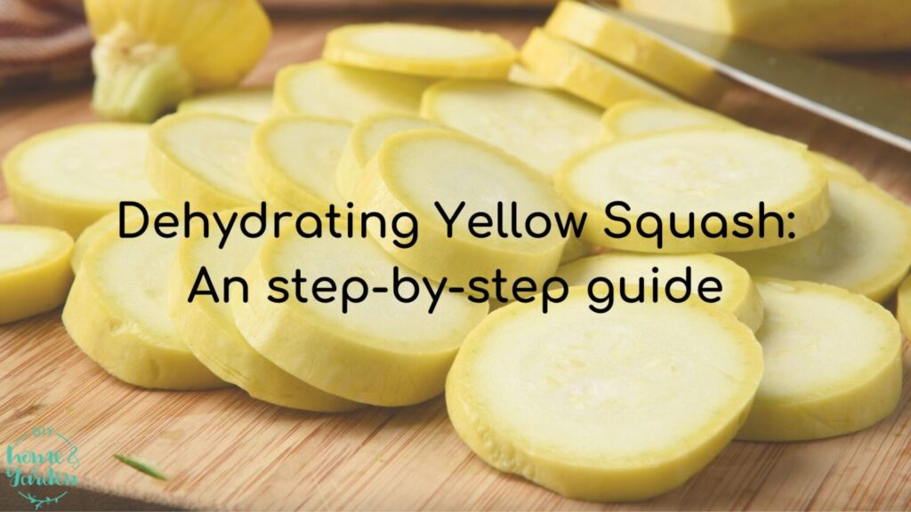 Dehydrating Yellow Squash: An step-by-step guide