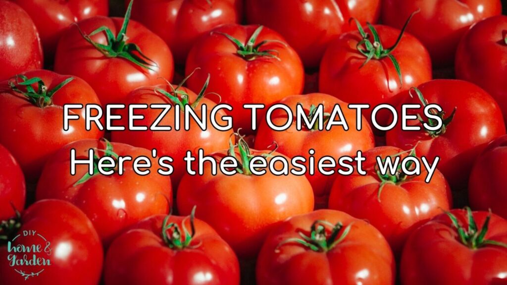 Freezing Tomatoes: Here's the Easiest Way