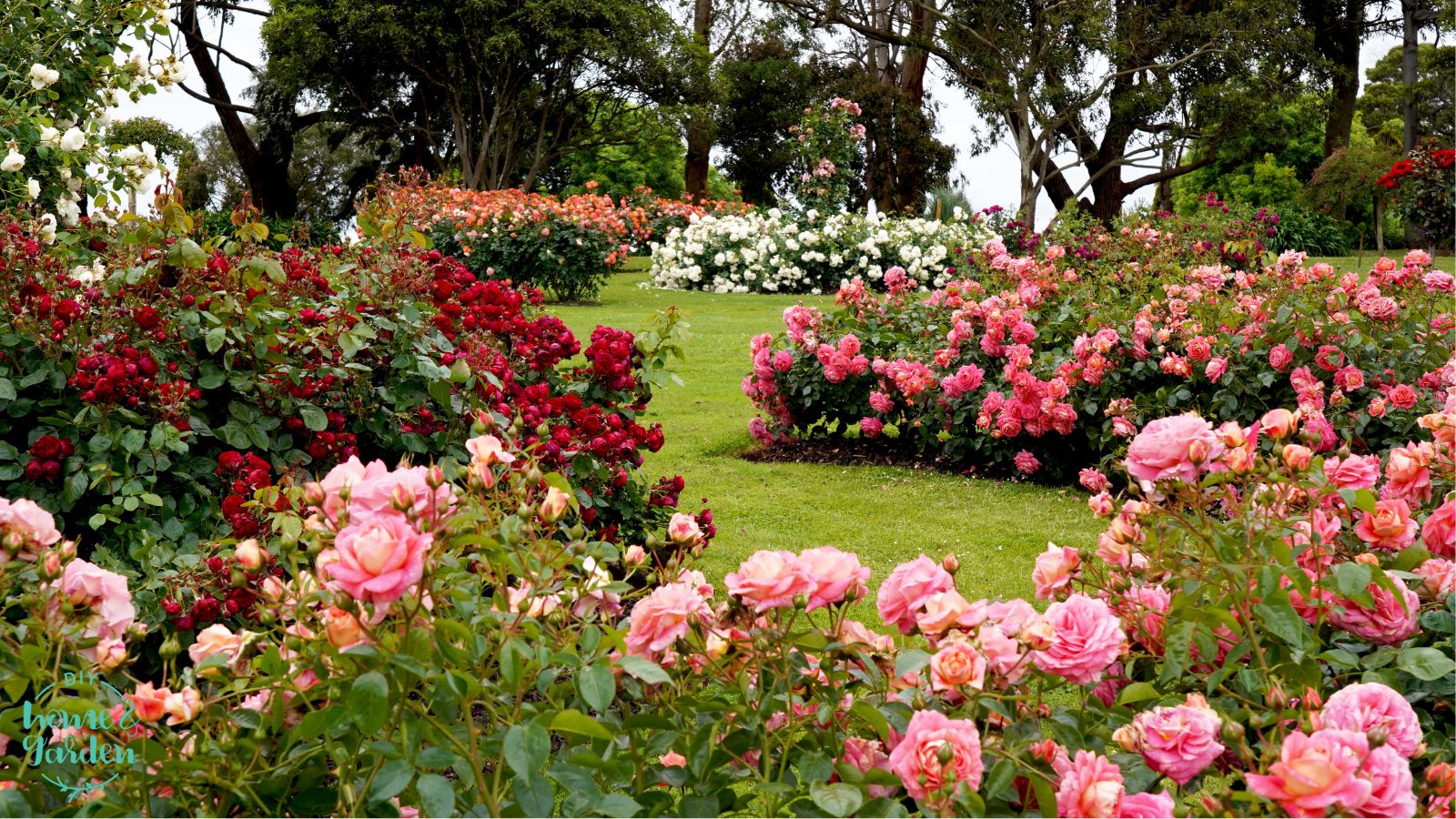 6 Best Tips for a Flourishing Garden