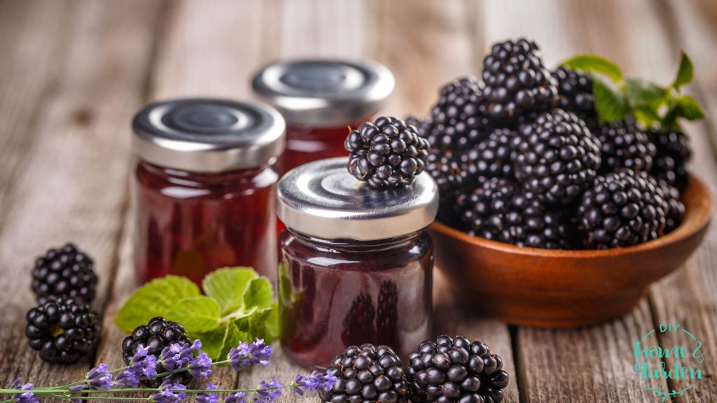 lavender blackberry freezer jam