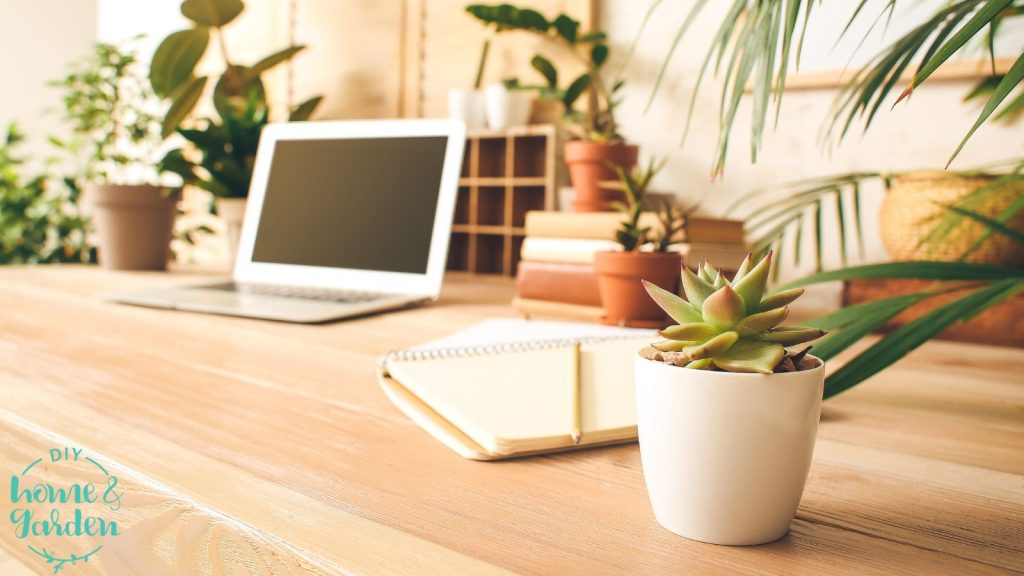 office with plants canva